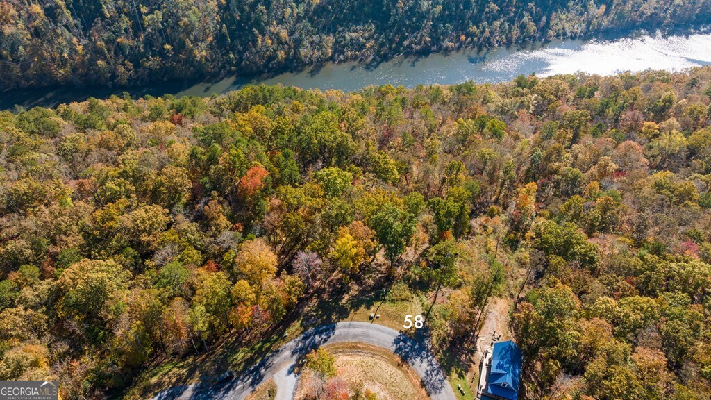 Lot 58 Ridge Line Trail Ellijay, GA 30540 - Photo 18 of 24