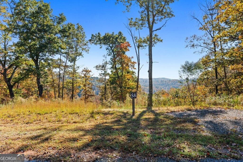 Lot 58 Ridge Line Trail Ellijay, GA 30540 - Photo 22 of 24