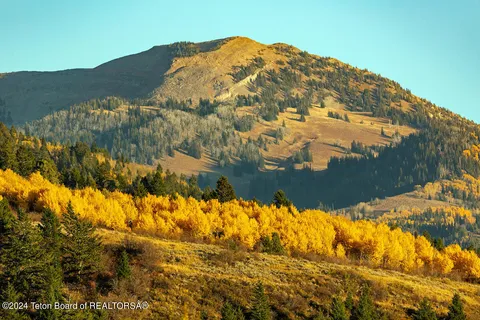 $157,000 | Lot 7 Mail Cabin Drive, Victor, ID 83455