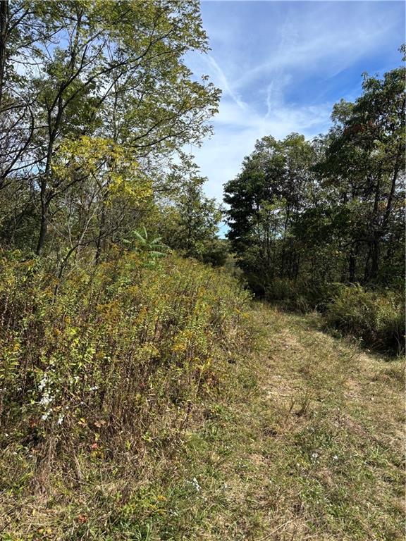 Lot#1 Christie Road Hilliards, PA 16040 - Photo 11 of 11