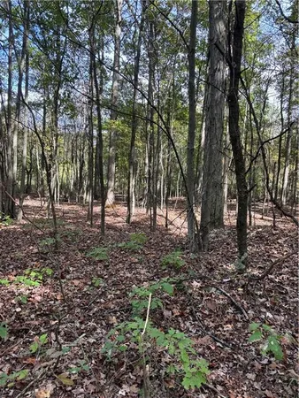 $535,000 | Lot#1 Christie Road, Hilliards, PA 16040