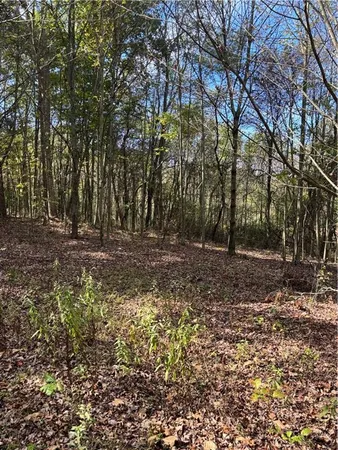 $535,000 | Lot#1 Christie Road, Hilliards, PA 16040