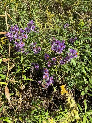 $549,900 | Lot#1 Christie Road, Hilliards, PA 16040