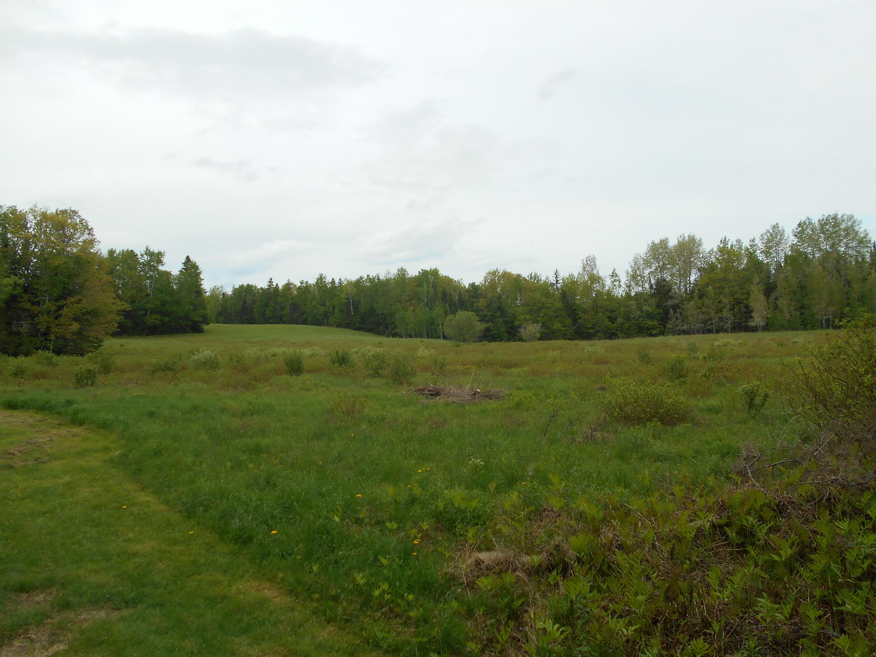 840 North Chester Road Lincoln, ME 04457 - Photo 27 of 68 DSCN7778