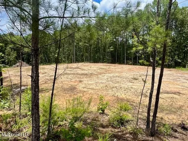$75,000 | 278 Poplar Springs Road, Mendenhall, MS 39114