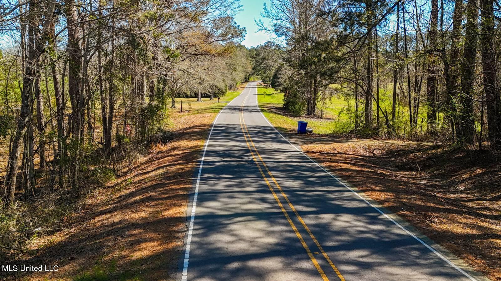 278 Poplar Springs Road Mendenhall, MS 39114 - Photo 3 of 5 11538171-JJ63HLW6mQ8zH7p7
