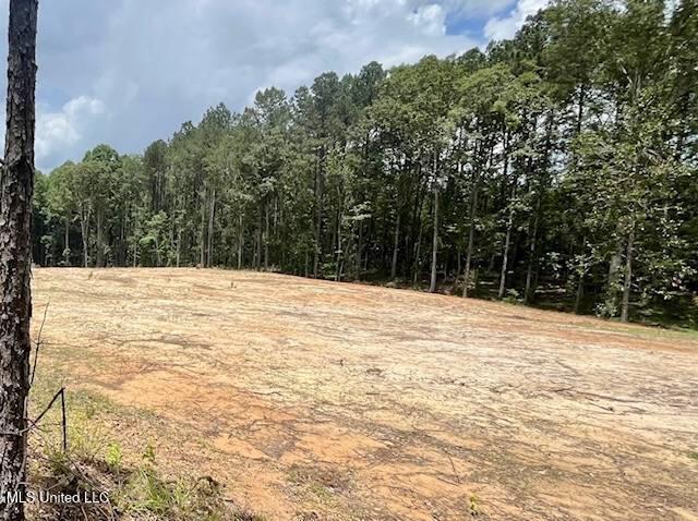 278 Poplar Springs Road Mendenhall, MS 39114 - Photo 4 of 5 11538171-mkRfQyRPbt3tc57T
