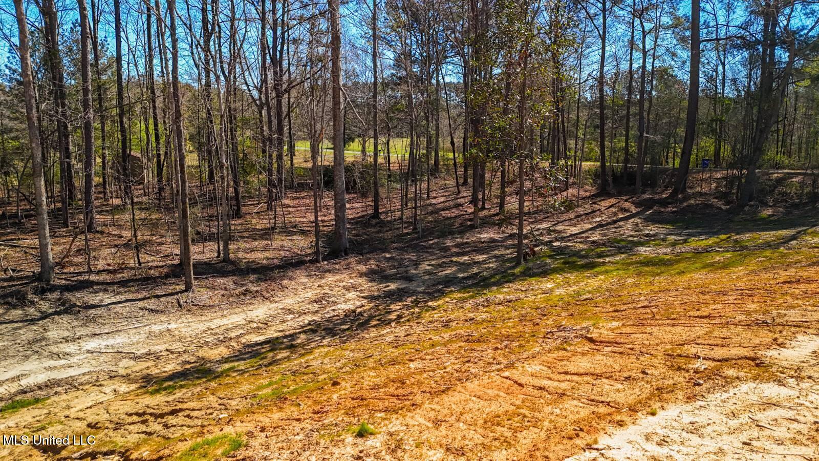 278 Poplar Springs Road Mendenhall, MS 39114 - Photo 5 of 5 11538171-JFVnj9gTrGnGg41x