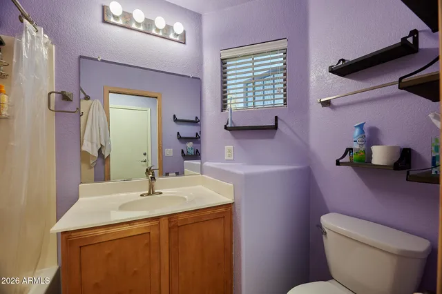 a bathroom with a sink a toilet a mirror and vanity