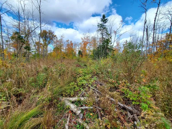 $89,950 | 91 Greenleaf Brook Road, Amity, ME 04471