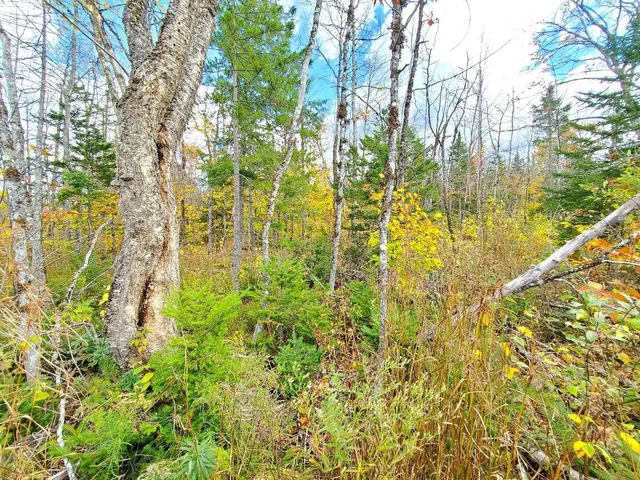 $97,800 | 91 Greenleaf Brook Road, Amity, ME 04471