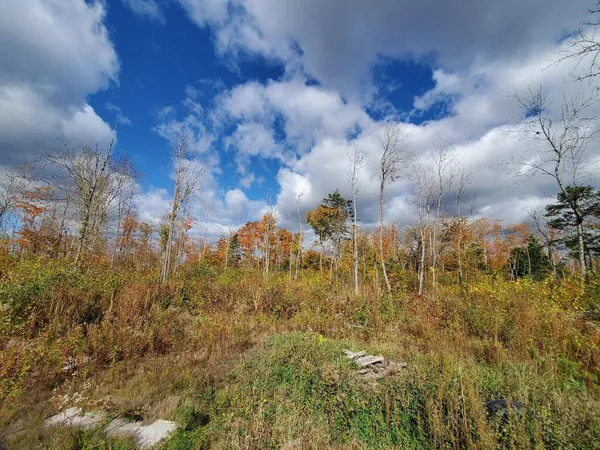 $89,950 | 91 Greenleaf Brook Road, Amity, ME 04471