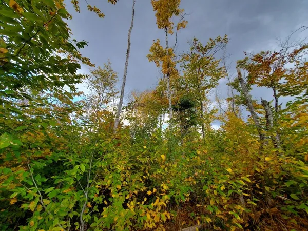 $89,950 | 91 Greenleaf Brook Road, Amity, ME 04471