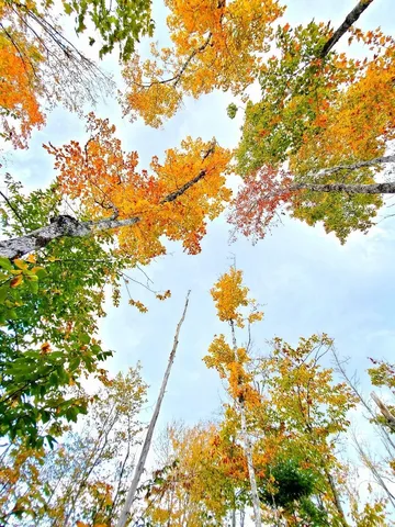 $97,800 | 91 Greenleaf Brook Road, Amity, ME 04471