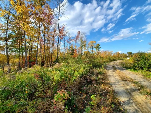 $89,950 | 91 Greenleaf Brook Road, Amity, ME 04471