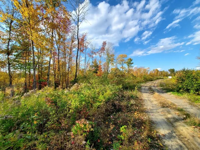 $97,800 | 91 Greenleaf Brook Road, Amity, ME 04471