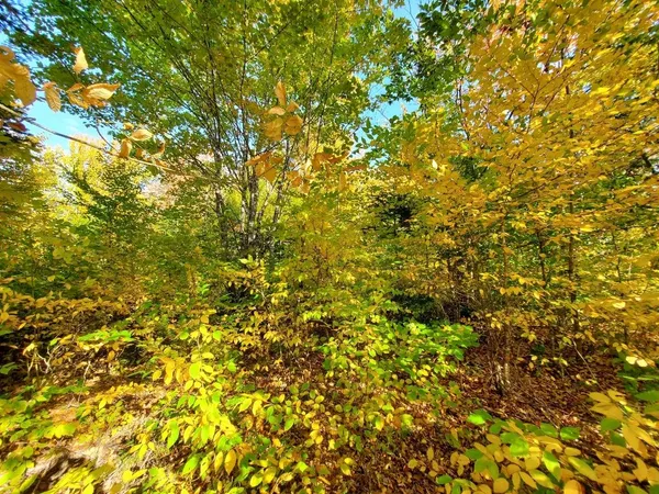 $89,950 | 91 Greenleaf Brook Road, Amity, ME 04471