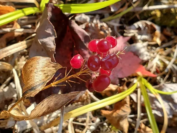 $89,950 | 91 Greenleaf Brook Road, Amity, ME 04471