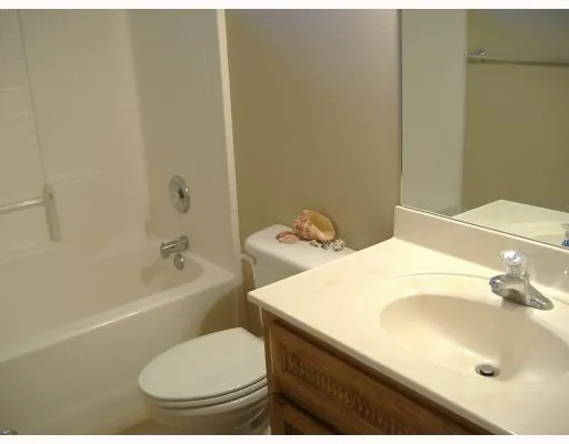 a view of a garden with plants and a bench