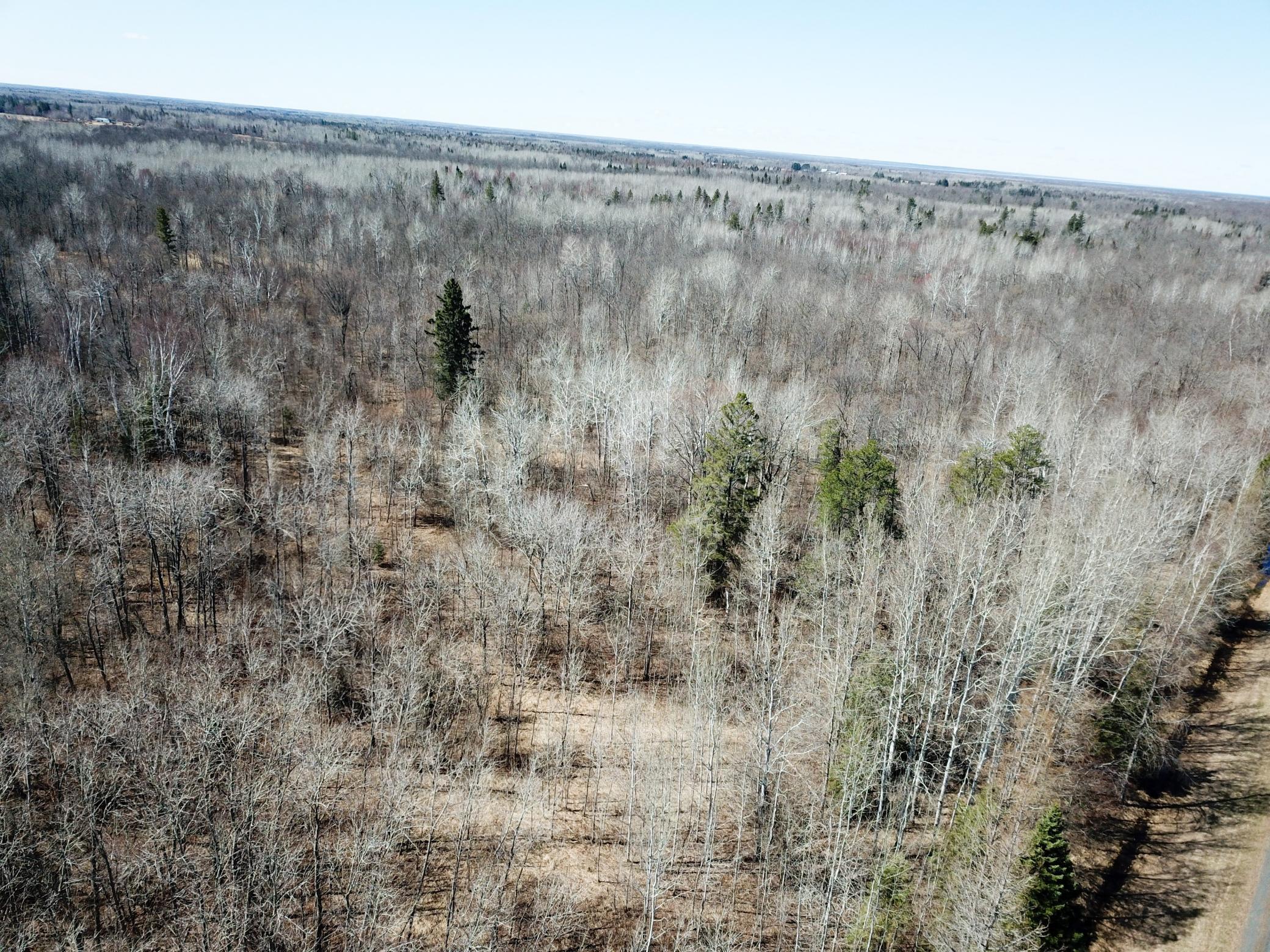 Tbd Tbd Cormorant Road Northeast Kelliher, MN 56650 - Photo 13 of 76