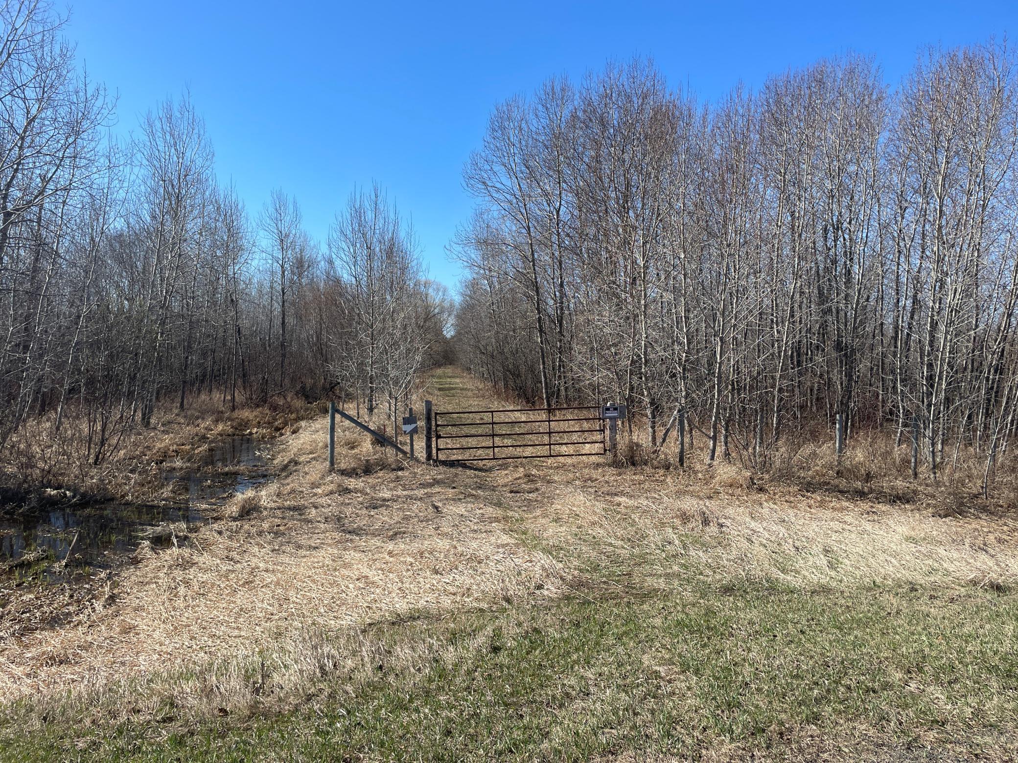 Tbd Tbd Cormorant Road Northeast Kelliher, MN 56650 - Photo 20 of 76