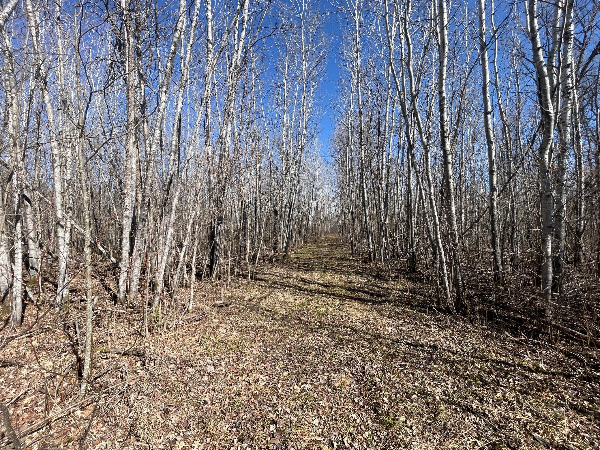 Tbd Tbd Cormorant Road Northeast Kelliher, MN 56650 - Photo 23 of 76