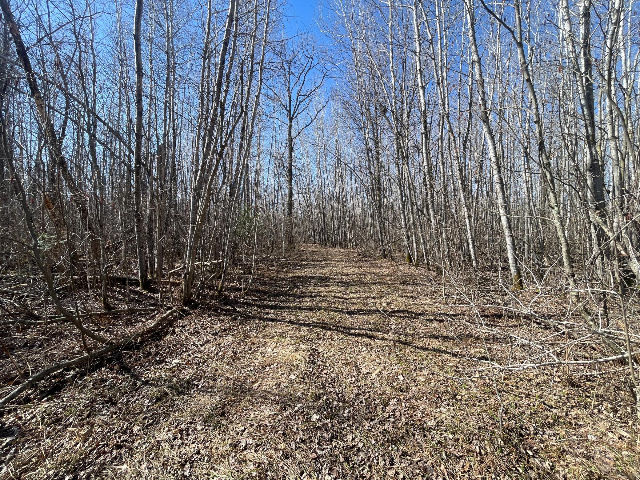 Tbd Tbd Cormorant Road Northeast Kelliher, MN 56650 - Photo 24 of 76
