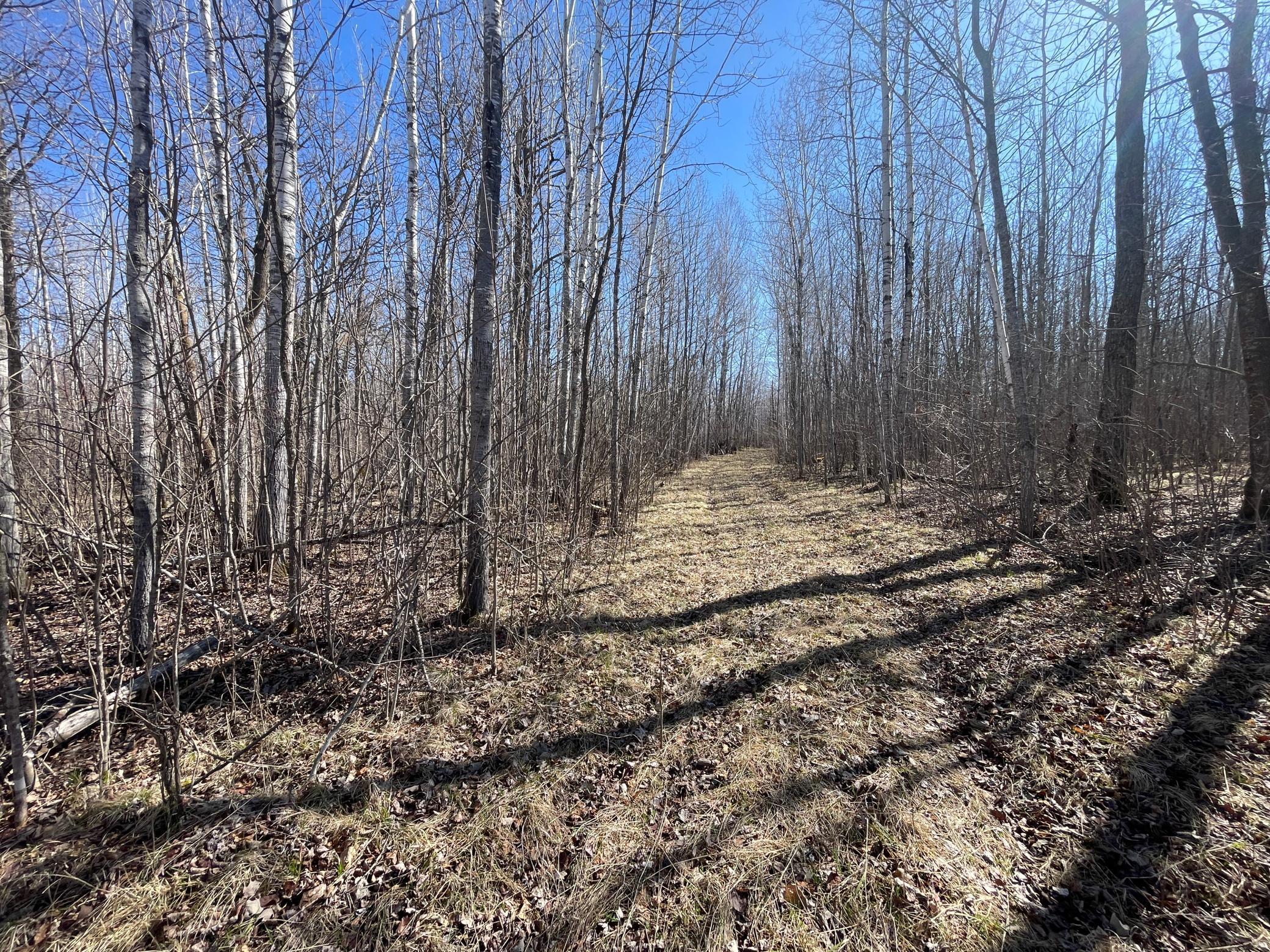 Tbd Tbd Cormorant Road Northeast Kelliher, MN 56650 - Photo 26 of 76