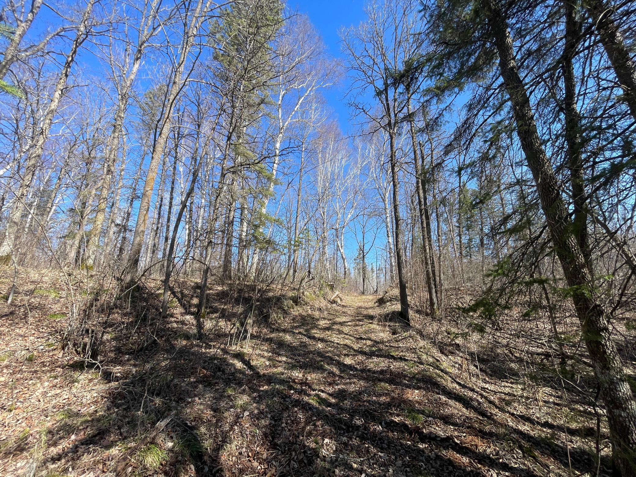 Tbd Tbd Cormorant Road Northeast Kelliher, MN 56650 - Photo 47 of 76