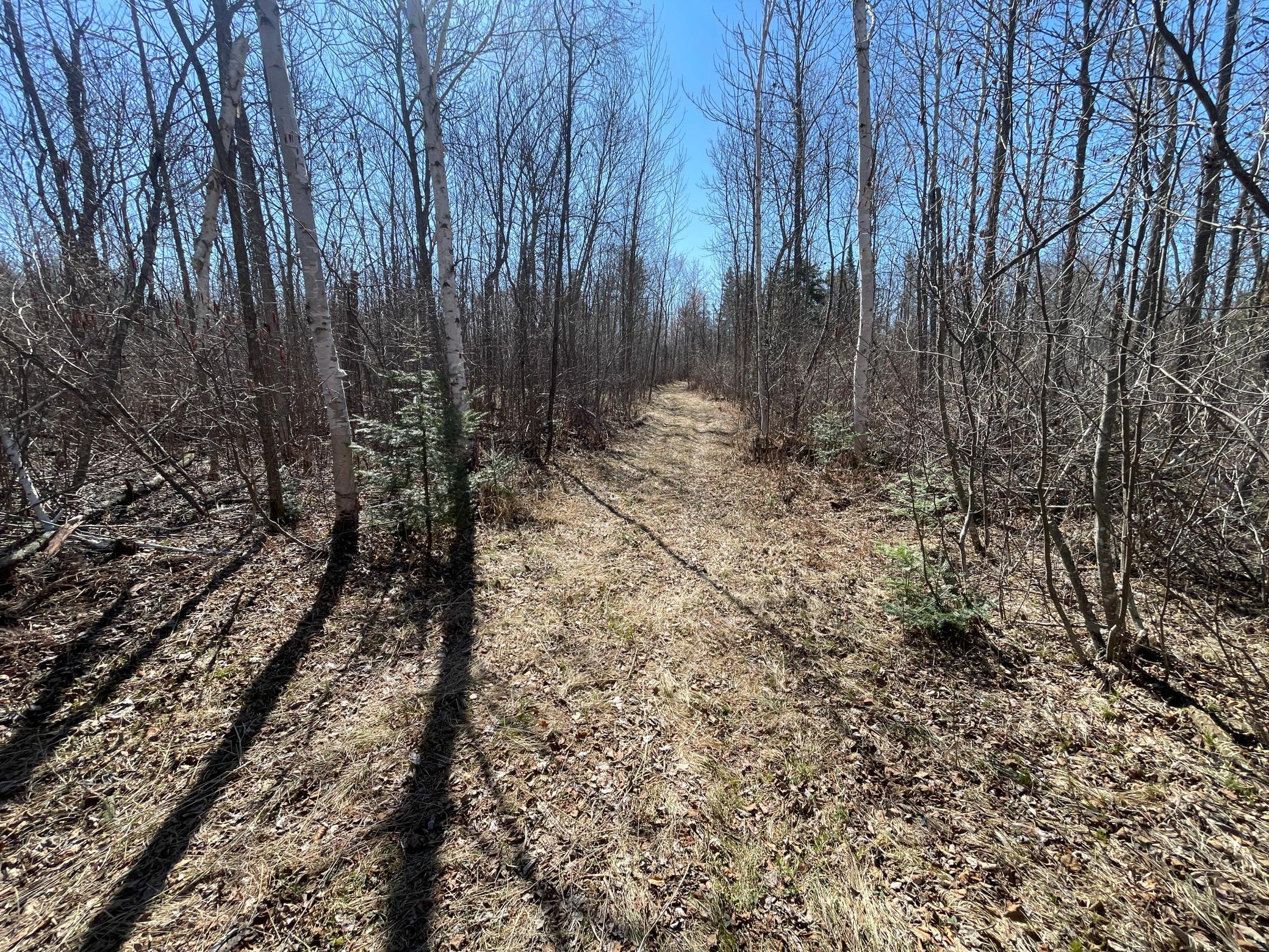 Tbd Tbd Cormorant Road Northeast Kelliher, MN 56650 - Photo 60 of 76