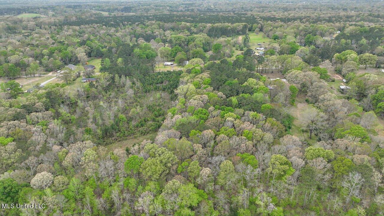 7298 Terry Road Terry, MS 39170 - Photo 15 of 29 07-0 Terry Rd