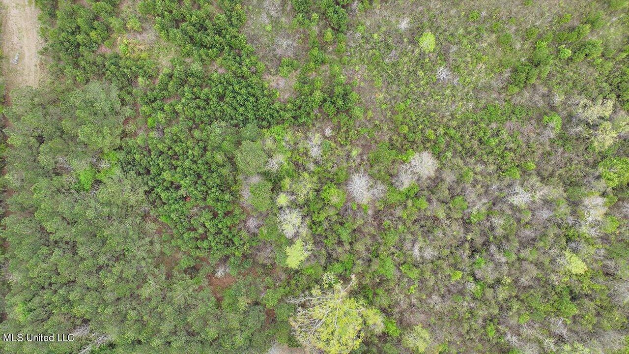 7298 Terry Road Terry, MS 39170 - Photo 20 of 29 12-0 Terry Rd