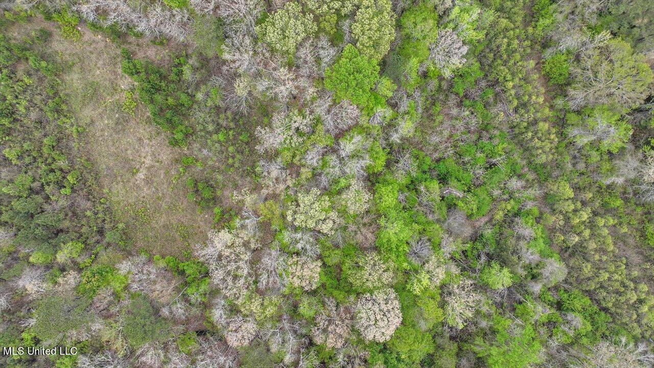 7298 Terry Road Terry, MS 39170 - Photo 22 of 29 14-0 Terry Rd