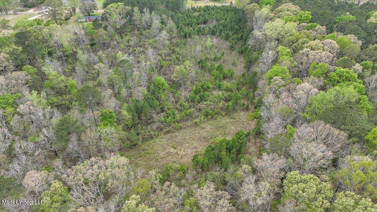 7298 Terry Road Terry, MS 39170 - Photo 28 of 29 23-0 Terry Rd