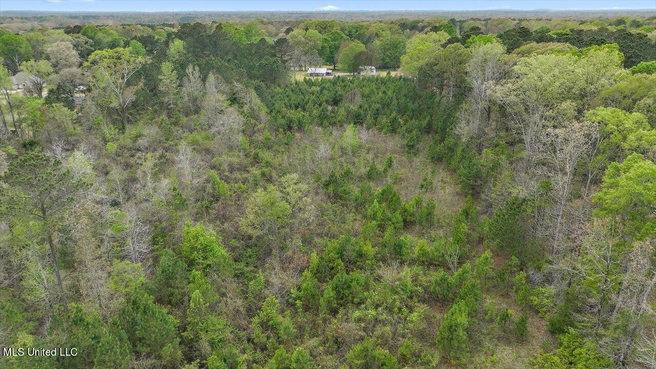 7298 Terry Road Terry, MS 39170 - Photo 29 of 29 24-0 Terry Rd