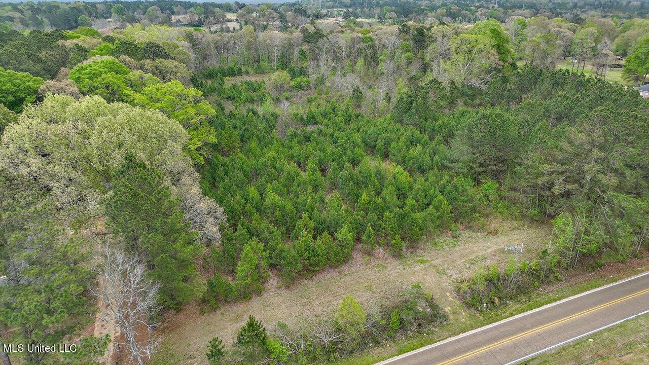 7298 Terry Road Terry, MS 39170 - Photo 3 of 29 28-0 Terry Rd