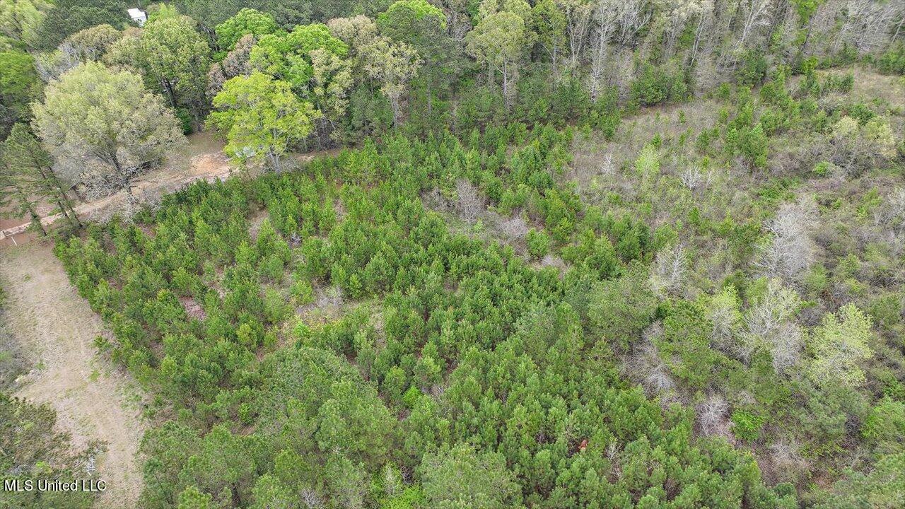 7298 Terry Road Terry, MS 39170 - Photo 8 of 29 21-0 Terry Rd