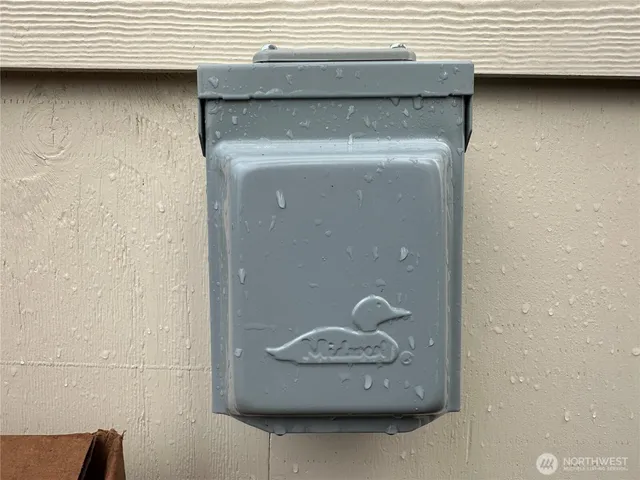 a view of a yard with plants and trees