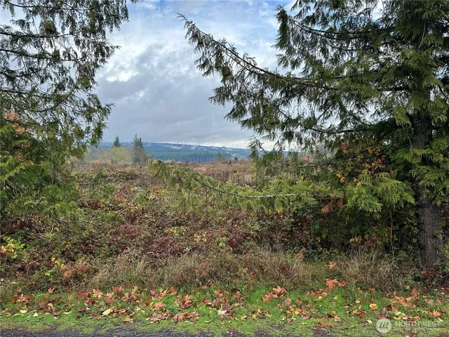 $483,000 | 184 Markum Lane, Winlock, WA 98596