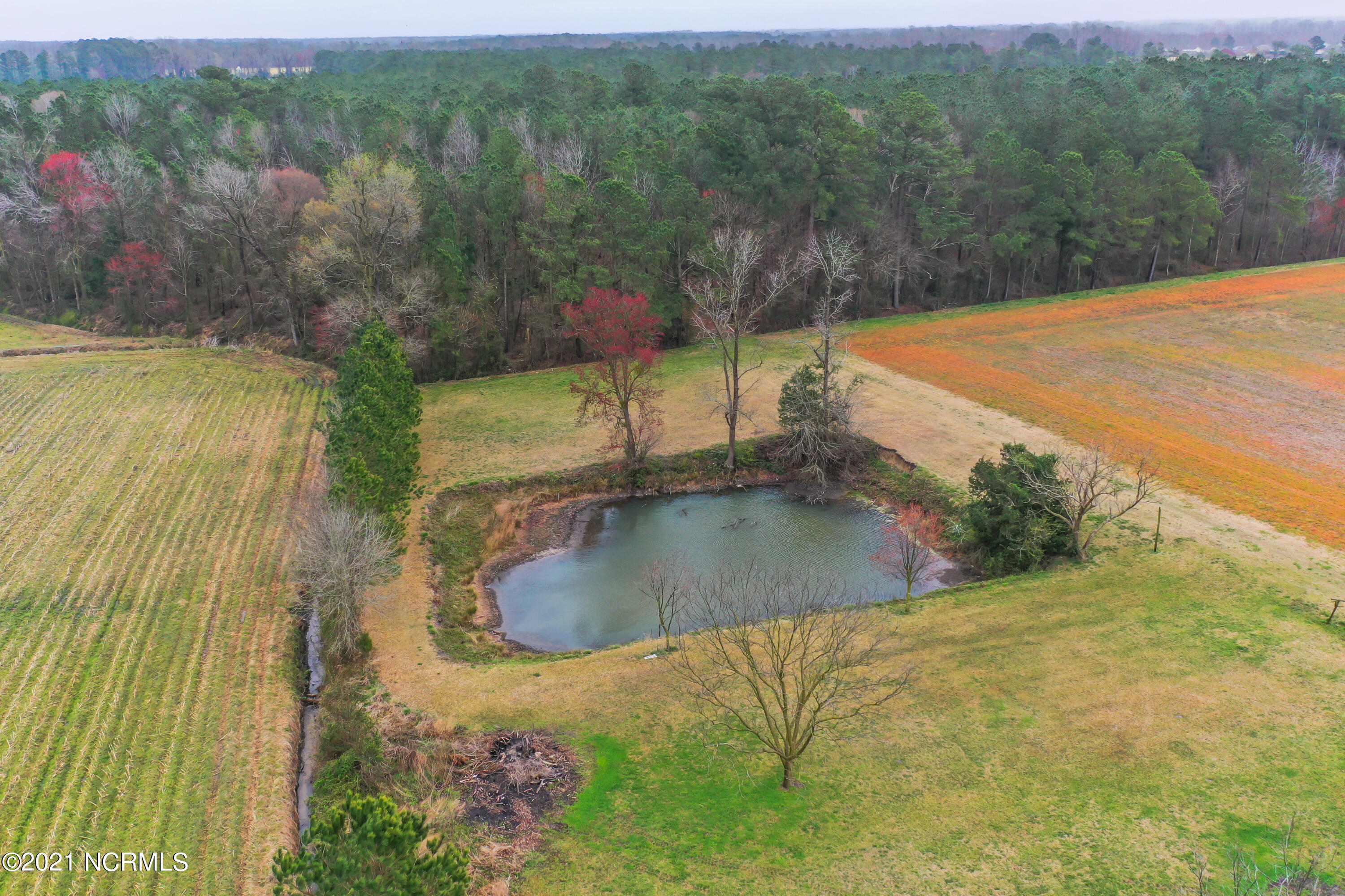 780 Huffmantown Road Richlands, NC 28574 - Photo 6 of 29 DJI_0663