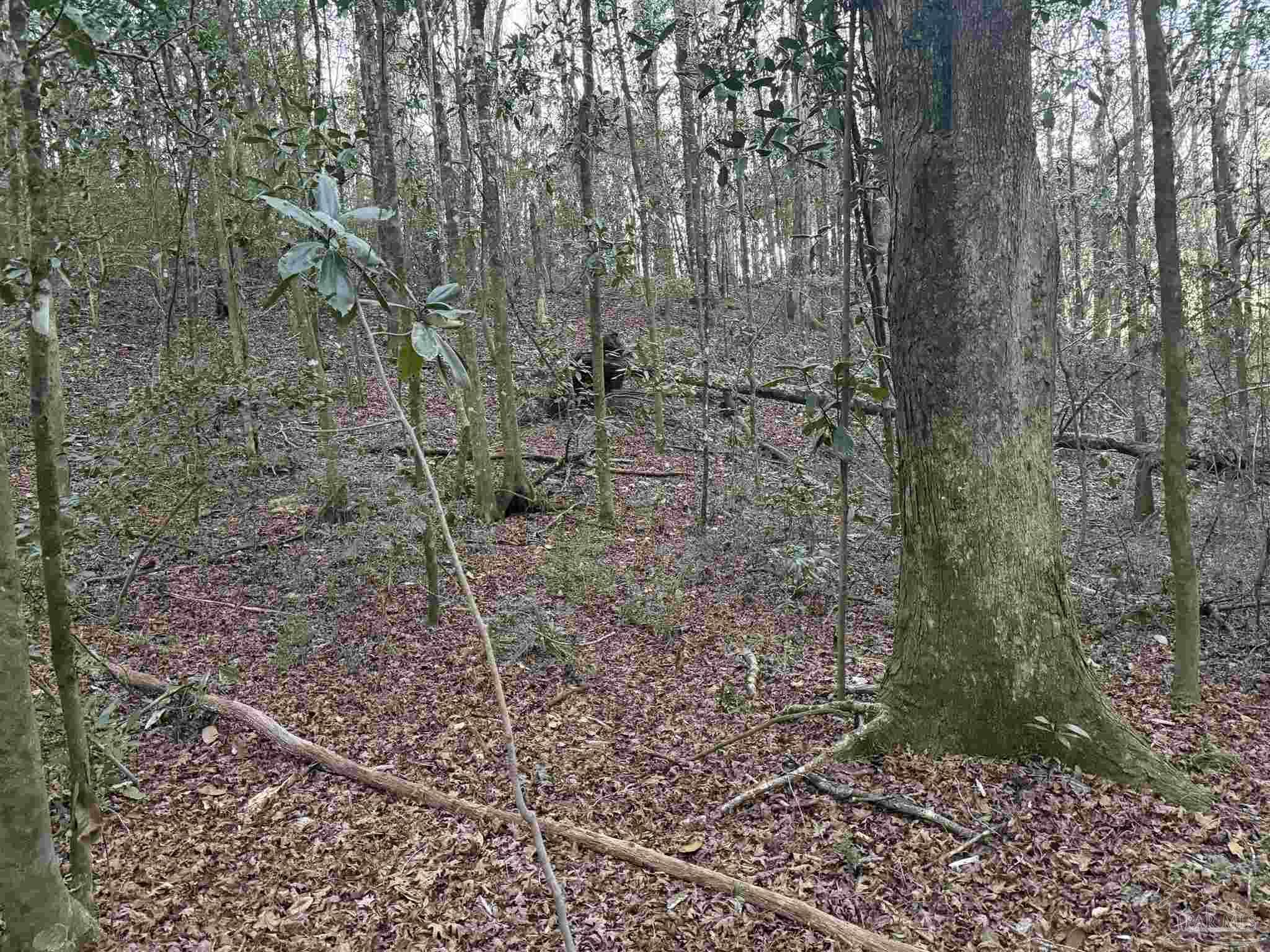 0 Ryan Road Crestview, FL 32539 - Photo 5 of 6