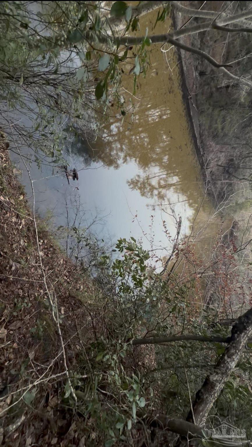 0 Ryan Road Crestview, FL 32539 - Photo 6 of 6