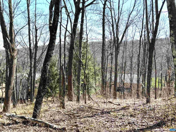 a view of a yard with trees