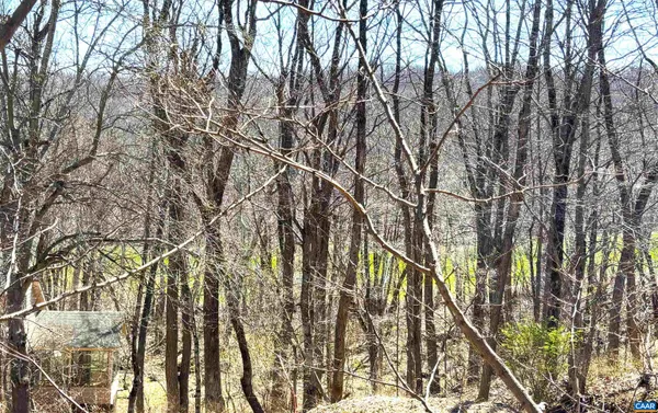 a picture of trees