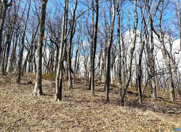 $41,000 | 433 Laurel Springs Drive, Roseland, VA 22967