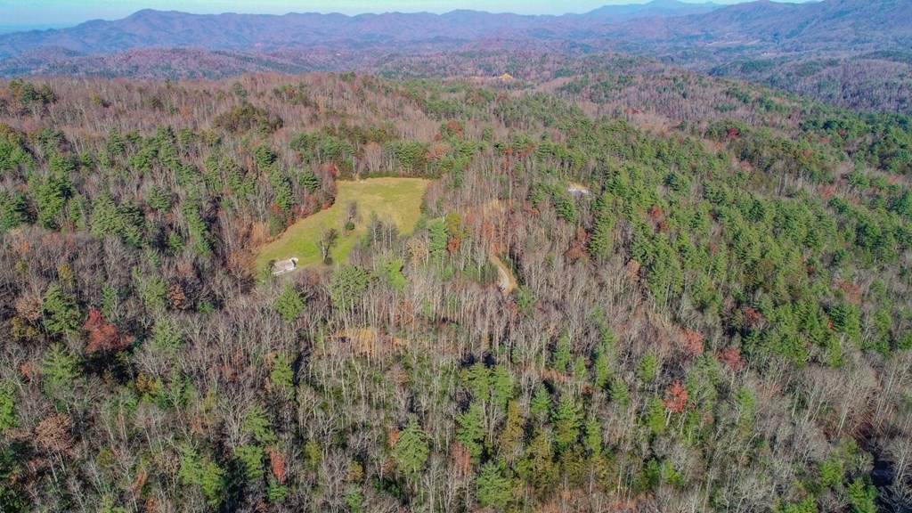 1301 Ridge Hollow Road Del Rio, TN 37727 - Photo 6 of 26 Gallery Image 6