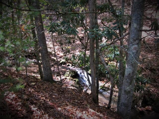 14 Wallace Hollow Road Lindside, WV 24951 - Photo 58 of 89 Gallery Image 58