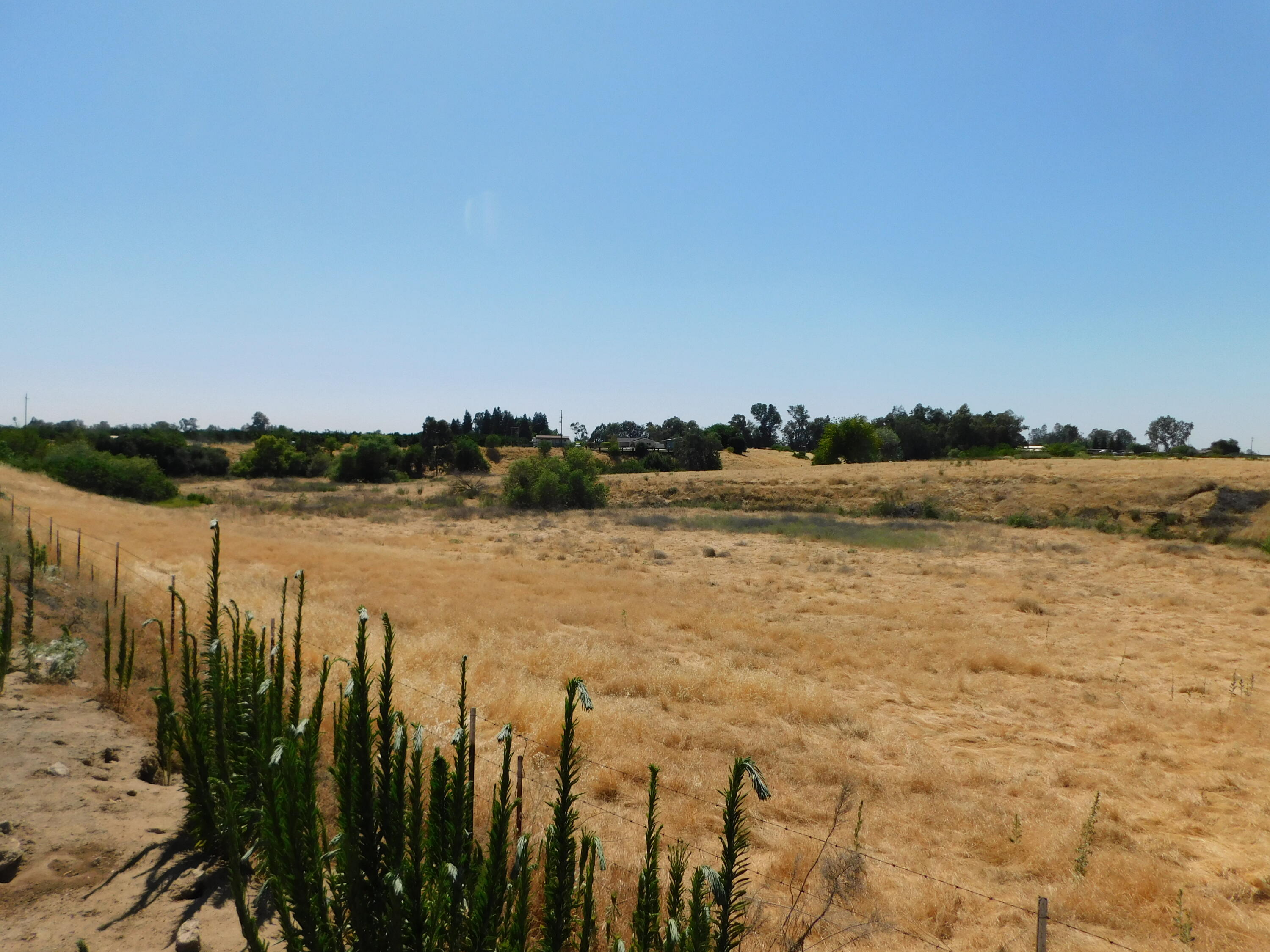 20367 Goodfellow Avenue Reedley, CA 93654 - Photo 22 of 123 220