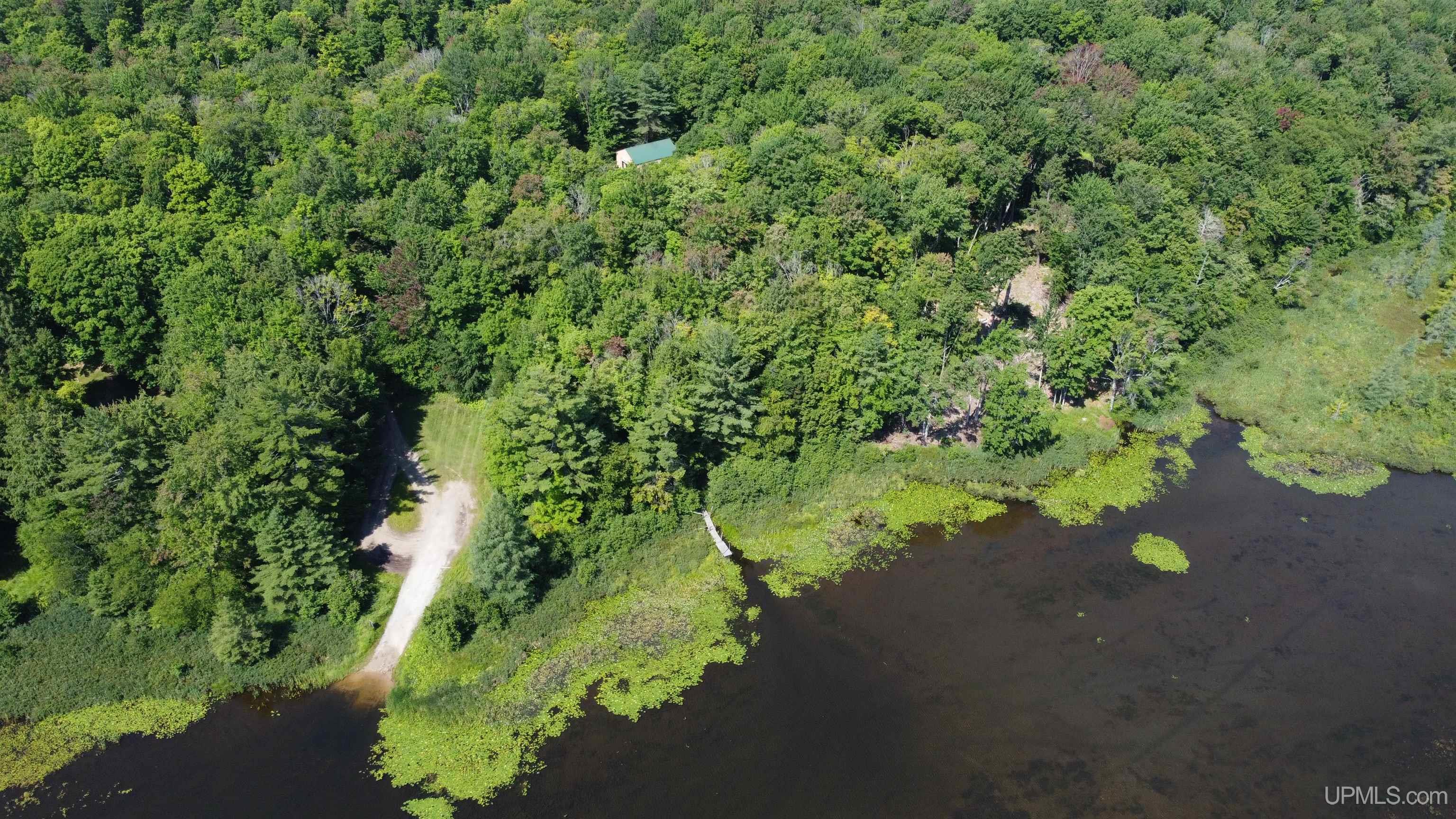 7042 East County Road 440 Road Wetmore, MI 49895 - Photo 3 of 78