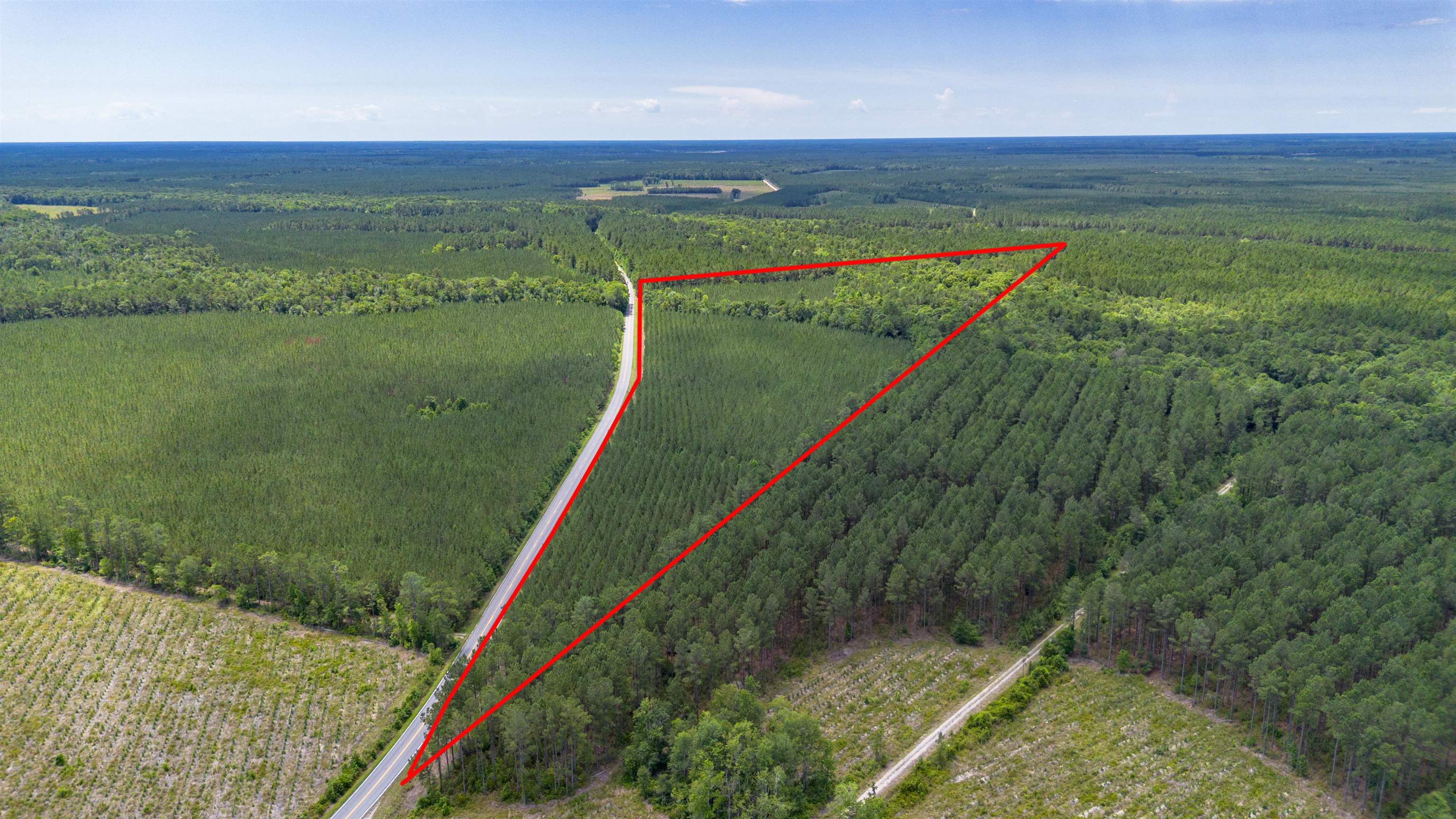 Ten 10 Acre Road Andrews, SC 29510 - Photo 2 of 15